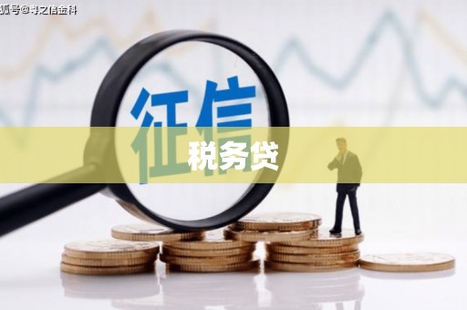 德州税务贷
