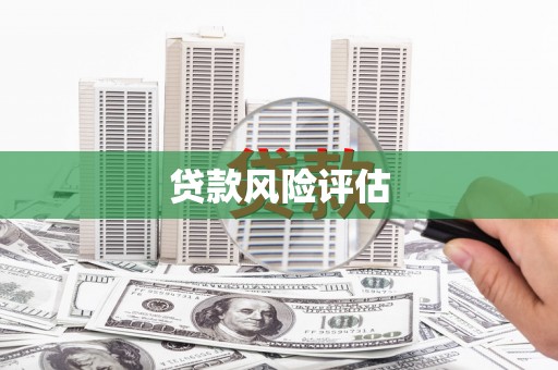 德州贷款风险评估