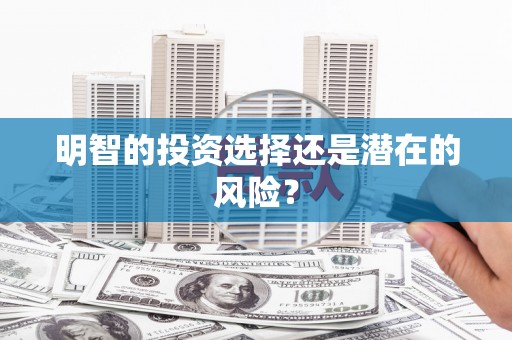 德州明智的投资选择还是潜在的风险？