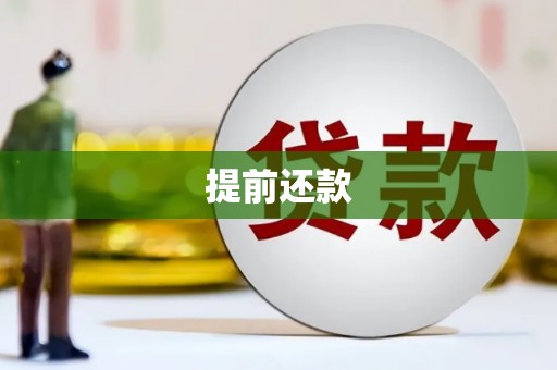 德州提前还款