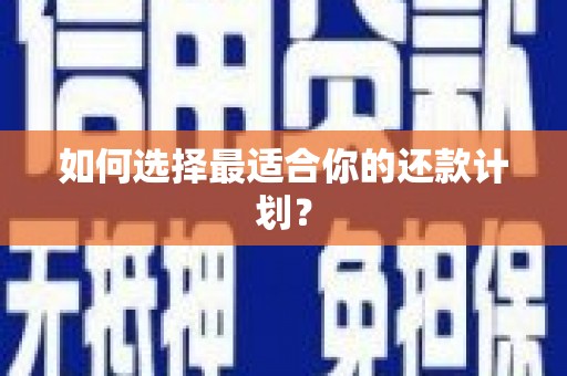 德州如何选择最适合你的还款计划？