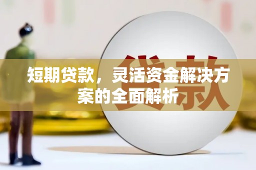 德州短期贷款，灵活资金解决方案的全面解析