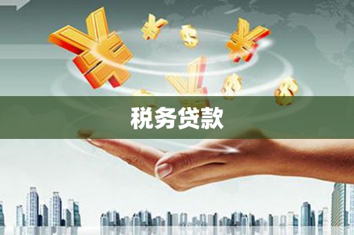 德州税务贷款