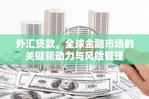 德州外汇贷款，全球金融市场的关键驱动力与风险管理
