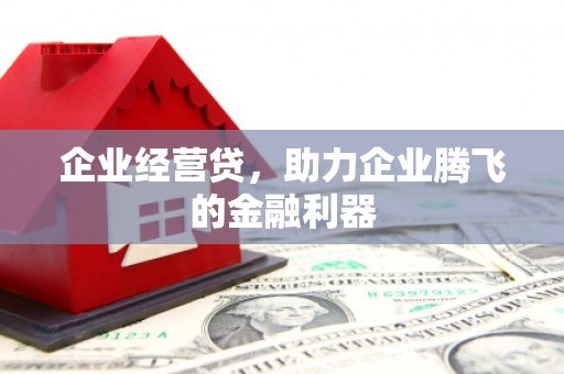 德州企业经营贷，助力企业腾飞的金融利器