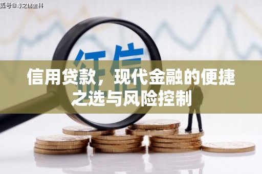 德州信用贷款，现代金融的便捷之选与风险控制