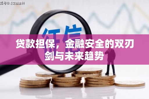 德州贷款担保，金融安全的双刃剑与未来趋势
