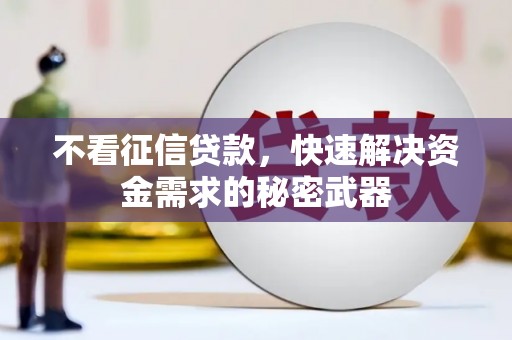 德州不看征信贷款，快速解决资金需求的秘密武器