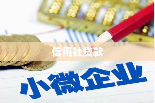德州信用社贷款