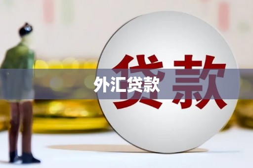 德州外汇贷款