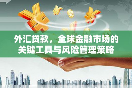 德州外汇贷款，全球金融市场的关键工具与风险管理策略