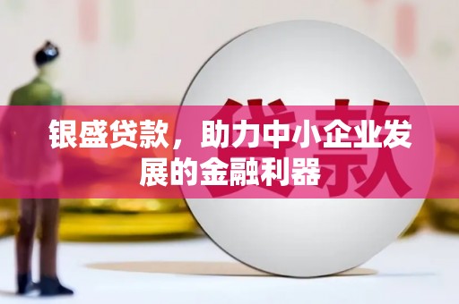 德州银盛贷款，助力中小企业发展的金融利器