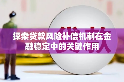 德州探索贷款风险补偿机制在金融稳定中的关键作用