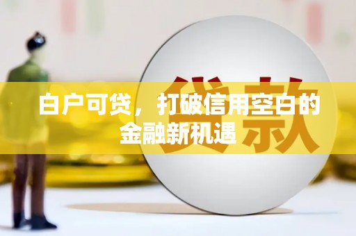 德州白户可贷，打破信用空白的金融新机遇