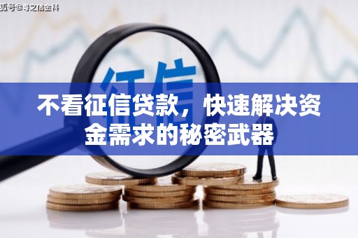 德州不看征信贷款，快速解决资金需求的秘密武器