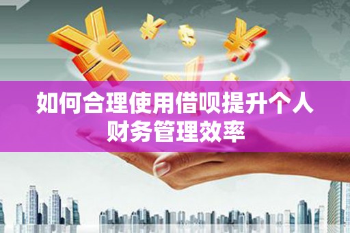 德州如何合理使用借呗提升个人财务管理效率