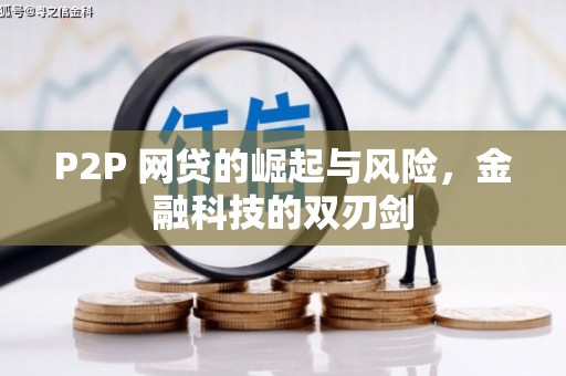 德州P2P 网贷的崛起与风险，金融科技的双刃剑