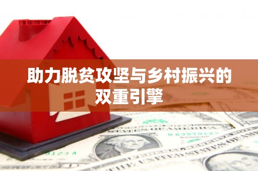 德州助力脱贫攻坚与乡村振兴的双重引擎