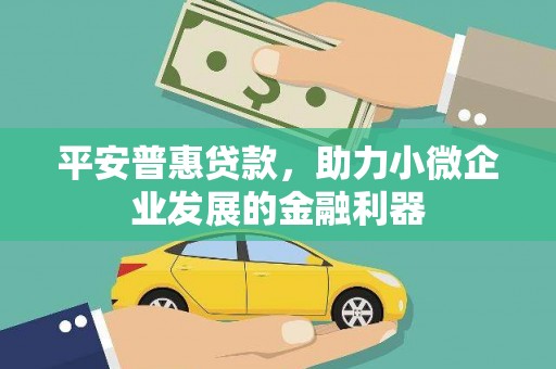德州平安普惠贷款，助力小微企业发展的金融利器