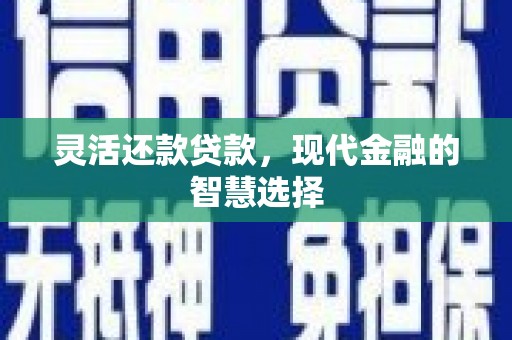德州灵活还款贷款，现代金融的智慧选择