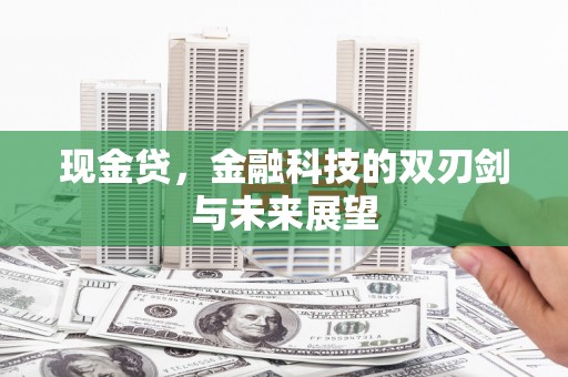 德州现金贷，金融科技的双刃剑与未来展望