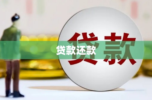 德州贷款还款