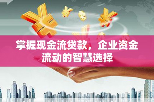德州掌握现金流贷款，企业资金流动的智慧选择