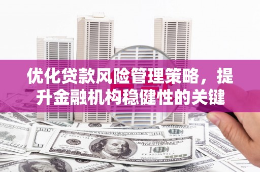 德州优化贷款风险管理策略，提升金融机构稳健性的关键