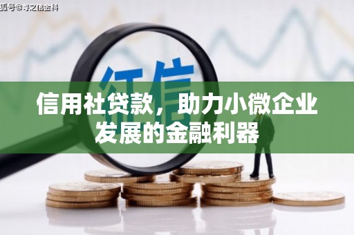德州信用社贷款，助力小微企业发展的金融利器