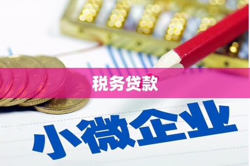 德州税务贷款