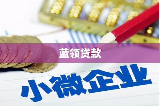 德州蓝领贷款
