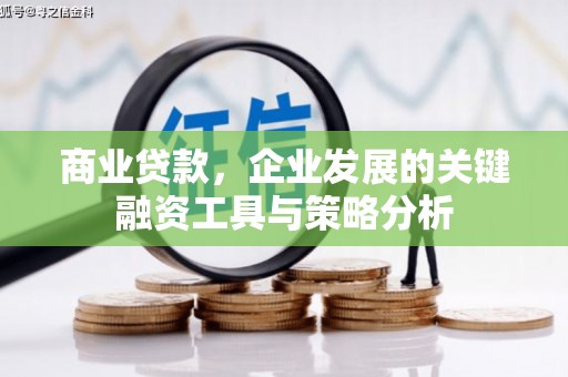 德州商业贷款，企业发展的关键融资工具与策略分析