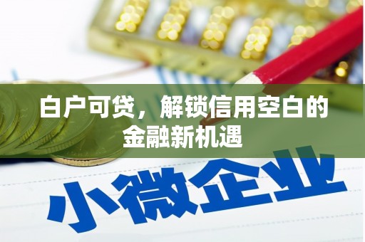 德州白户可贷，解锁信用空白的金融新机遇