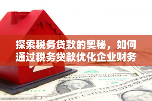德州探索税务贷款的奥秘，如何通过税务贷款优化企业财务