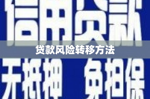 德州贷款风险转移方法