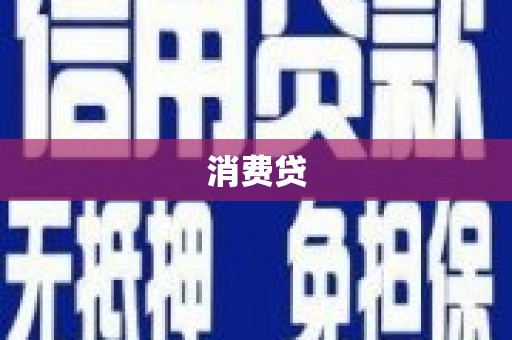 德州消费贷
