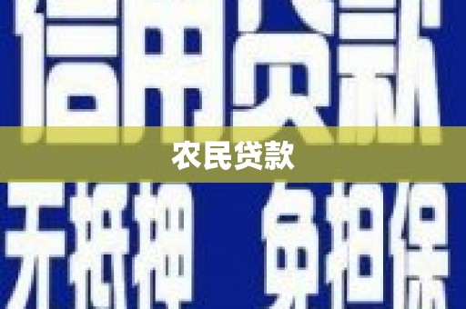 德州农民贷款