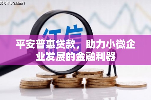 德州平安普惠贷款，助力小微企业发展的金融利器
