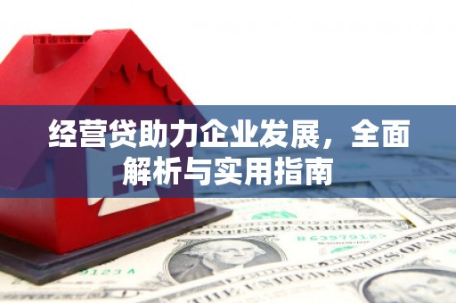 德州经营贷助力企业发展，全面解析与实用指南