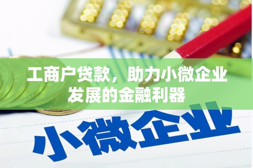德州工商户贷款，助力小微企业发展的金融利器