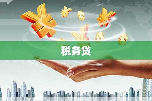 德州税务贷