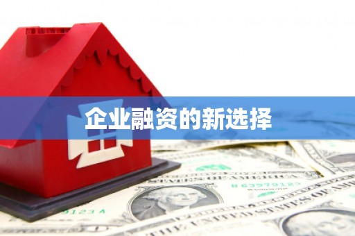 德州企业融资的新选择