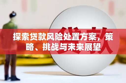 德州探索贷款风险处置方案，策略、挑战与未来展望