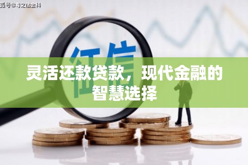 德州灵活还款贷款，现代金融的智慧选择