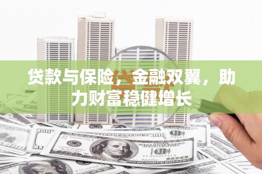 德州贷款与保险，金融双翼，助力财富稳健增长