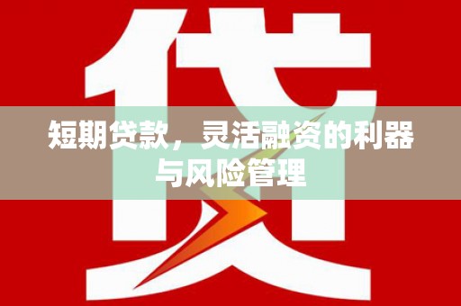 德州短期贷款，灵活融资的利器与风险管理