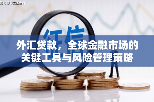 德州外汇贷款，全球金融市场的关键工具与风险管理策略