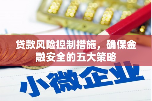 德州贷款风险控制措施，确保金融安全的五大策略