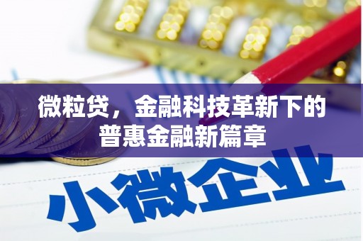 德州微粒贷，金融科技革新下的普惠金融新篇章