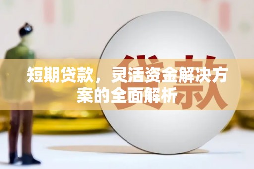 德州短期贷款，灵活资金解决方案的全面解析